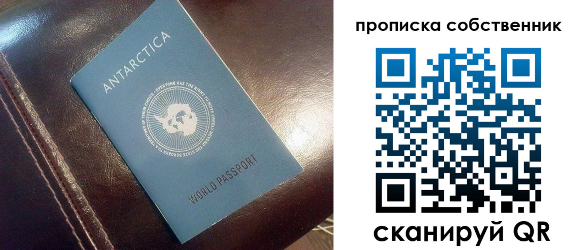 прописка поиск в Сергиевом Посаде